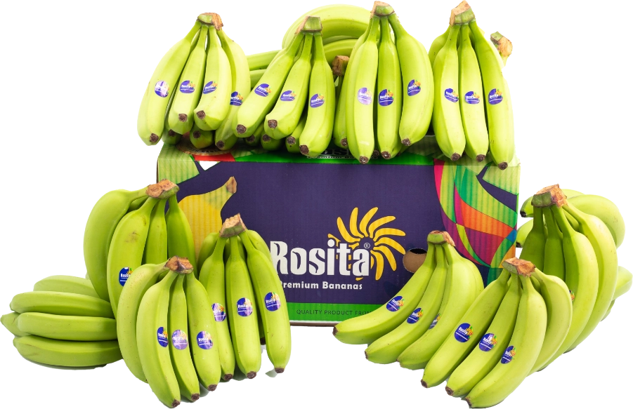 Bananas on Rosita box image